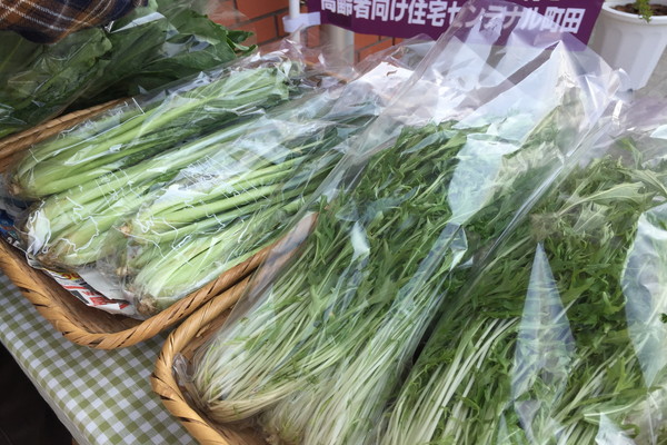 町田カフェ セミニョン 野菜たっぷりランチプレート 旬な野菜で